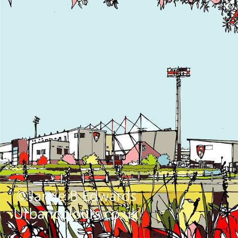 AFC Bournemouth's print of Dean Court Vitality stadium image of