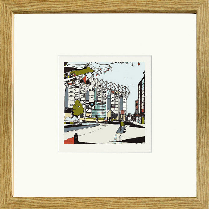 St James Park Print | Perfect Newcastle Utd Gift | Newcastle Utd